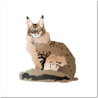 Maine Coon Cat Posters and Art